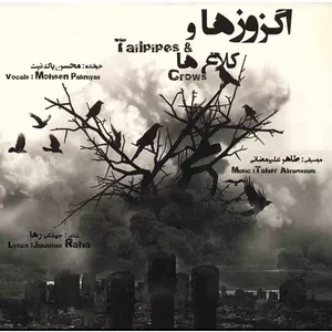 آلبوم موسیقی اگزوزها و کلاغ ها - محسن پاک نیت