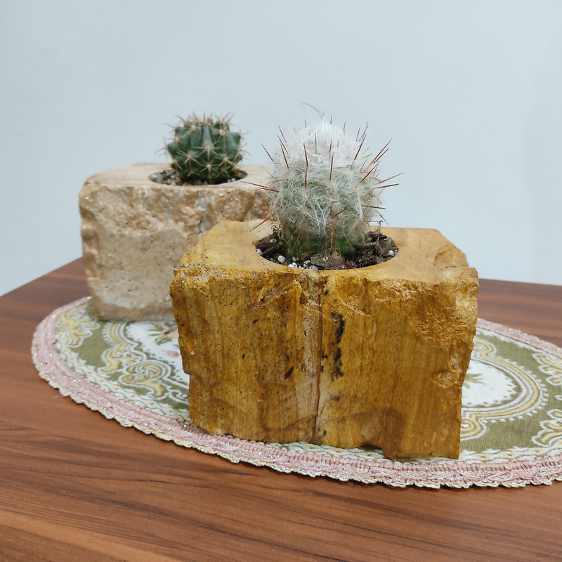 گلدان مدل 02 تراورتن گلدان مدل 02 تراورتن