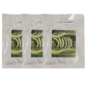 مجموعه بذر خیار چنبر گلباران سبز بسته 3 عددی