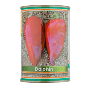 بذر فلفل قرمز ترکیه ای بیوتک کد GK-1875