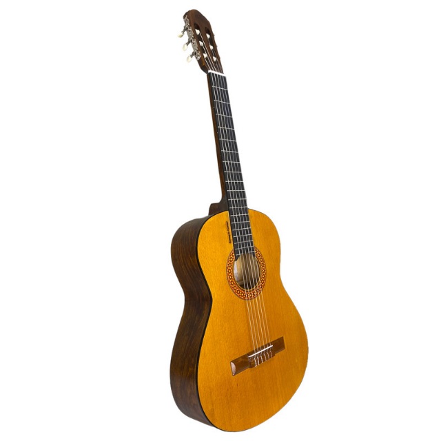 گیتار مدل انتنیو سزار G300
