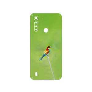 MAHOOT European bee-eater Cover Sticker for Motorola Moto G8 Power Lite