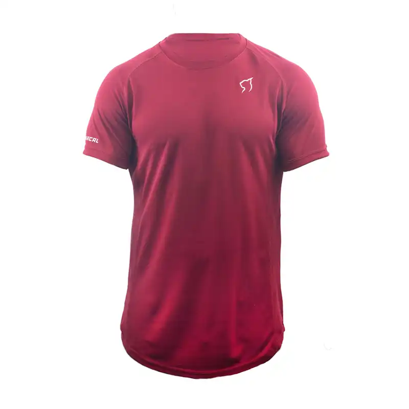 تی شرت ورزشی مردانه مدل بیسیک رنگ زرشکی