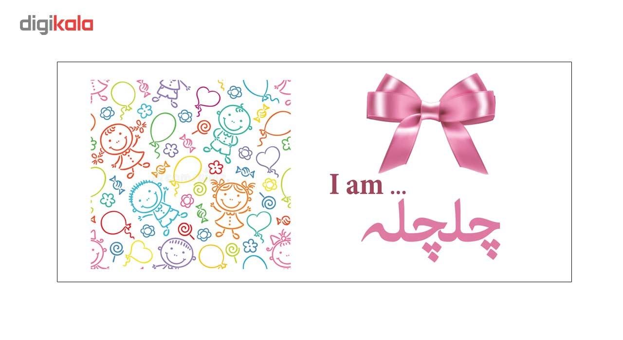 ماگ ماگستان مدل چلچله main 1 2