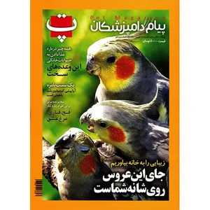 مجله پت - شماره سیزدهم