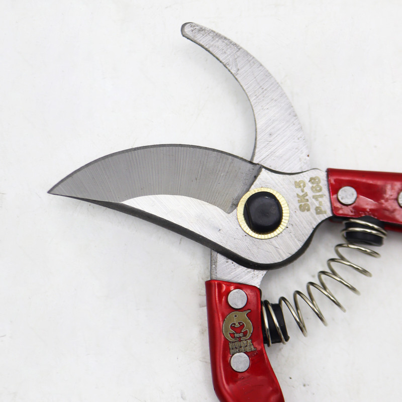 قیچی باغبانی مدل ایس راک کد YPGH-2RANG-21CM