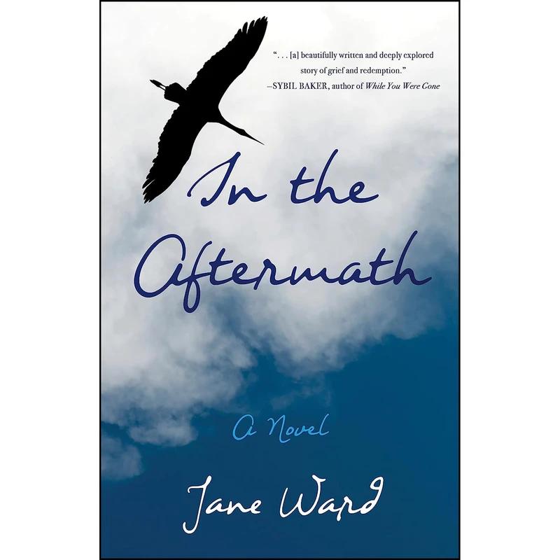 کتاب In the Aftermath اثر Jane Ward انتشارات She Writes Press