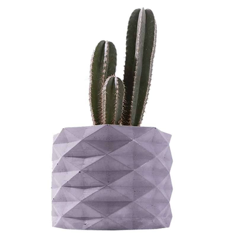 گیاه طبیعی کاکتوس سرئوس چرمی مدل K-06