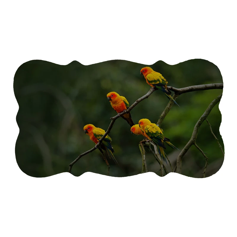 پادری مدل دالبر طرح پرندگان کد 6215 سایز 110×60 سانتی متر