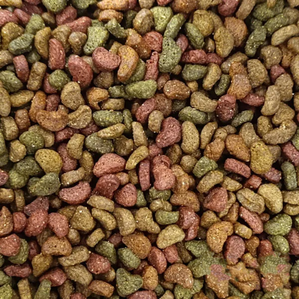 غذای خشک گربه بالغ پولر مدل مولتی کالر طعم مرغ وزن 2 کیلوگرم