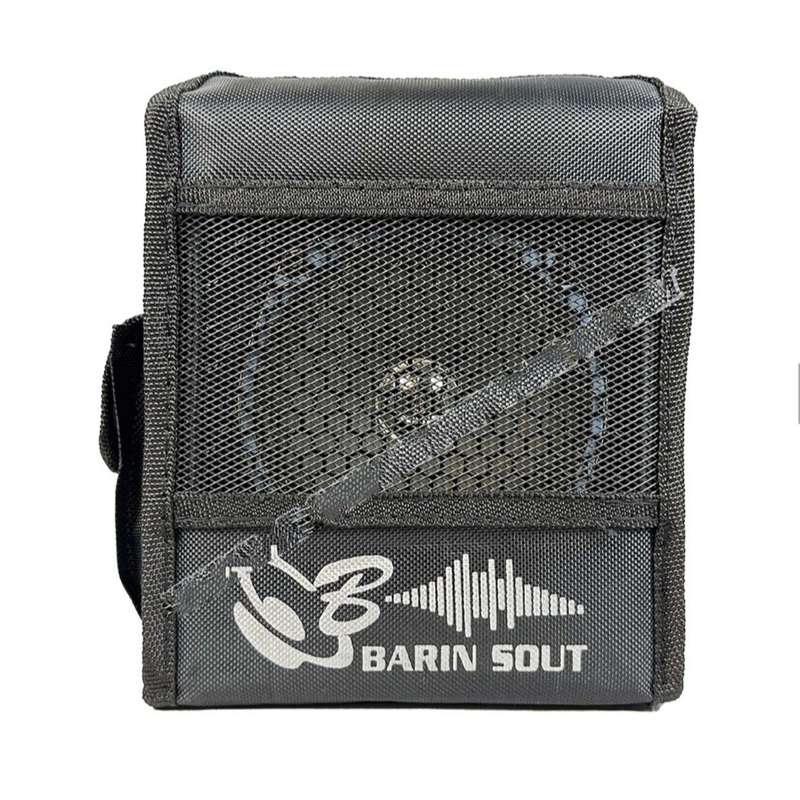 اکو همراه برین صوت مدل B 1530usb