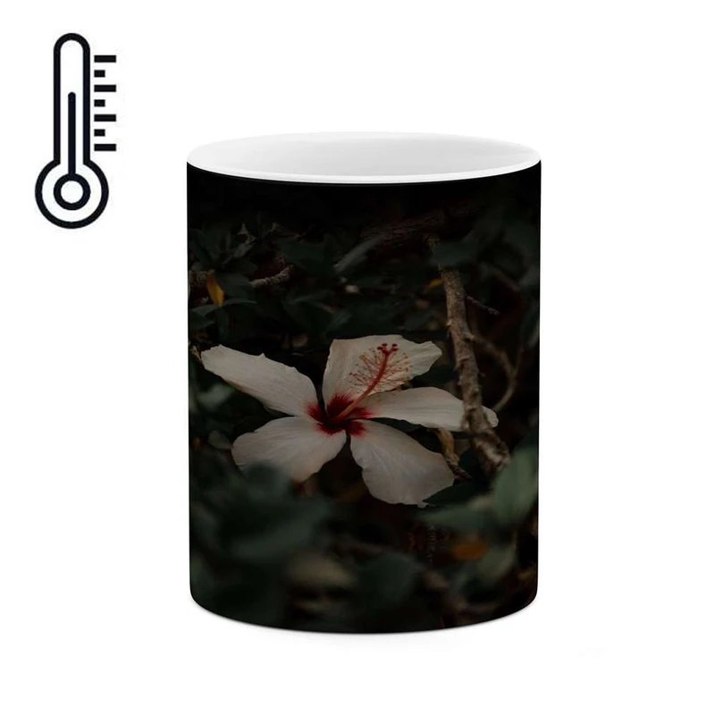 ماگ حرارتی کاکتی مدل گل کد mgh14224