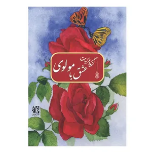 کتاب عشق با مولوی گزیده غزلیات اثر مهدی خرد انتشارات هونر