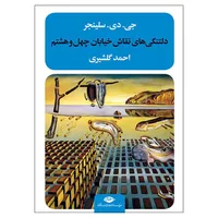 کتاب دلتنگی های نقاش خیابان چهل و هشتم اثر جی دی سلینجر نشر نگاه