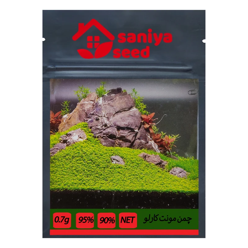 بذر چمن مونت کارلو سانیا سید مدل S4