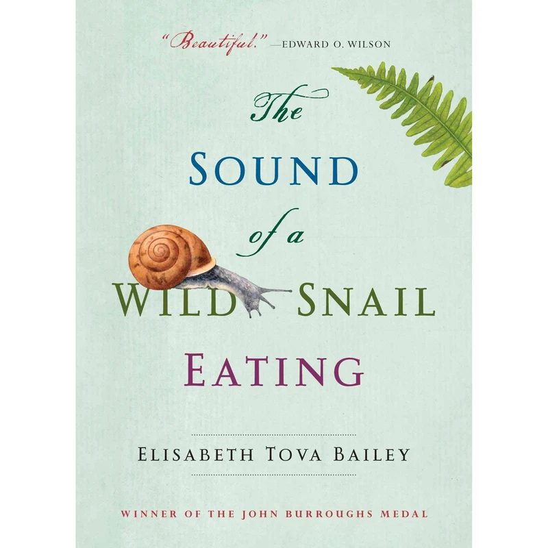 کتاب The Sound of a Wild Snail Eating اثر Elisabeth Tova Bailey انتشارات تازه ها