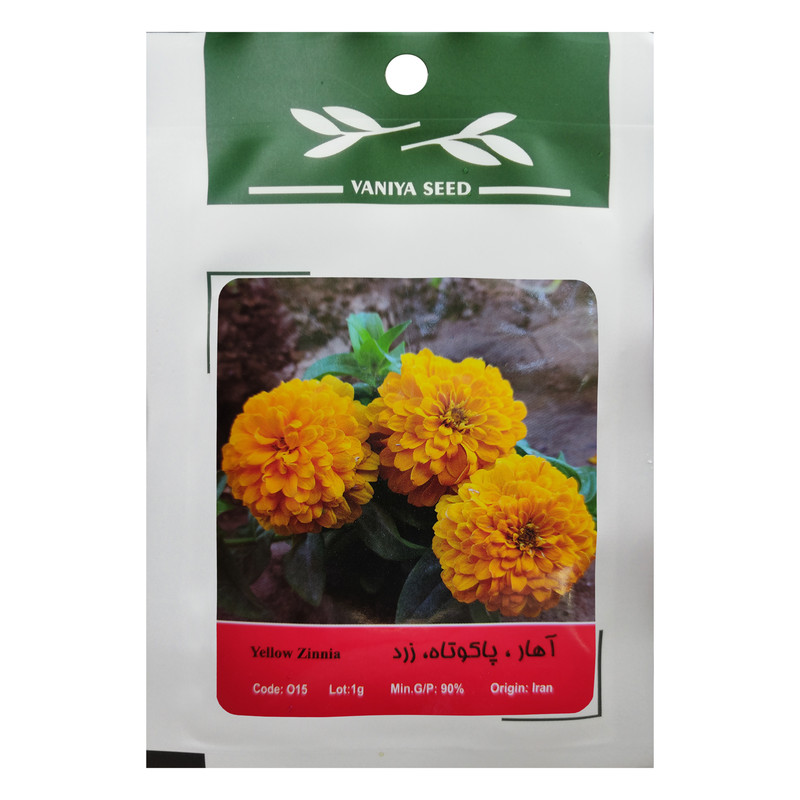 بذر گل آهار پاکوتاه زرد وانیا سید مدل O15