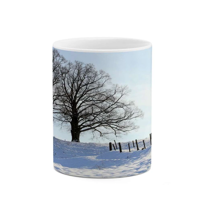 ماگ کاکتی مدل منظره برفی کد mgh14998