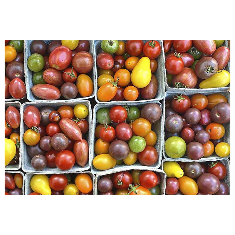 بذر گوجه چری میکس آذر سبزینه مدل G291 بسته 3 عددی