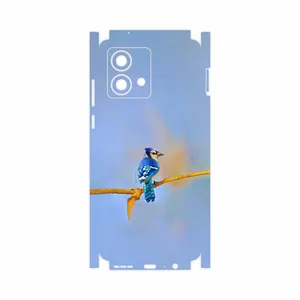 MAHOOT Cyanocitta cristata-FullSkin Cover Sticker for Motorola Moto G84