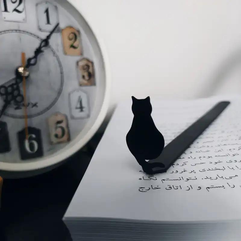 نشانگر کتاب مدل گربه