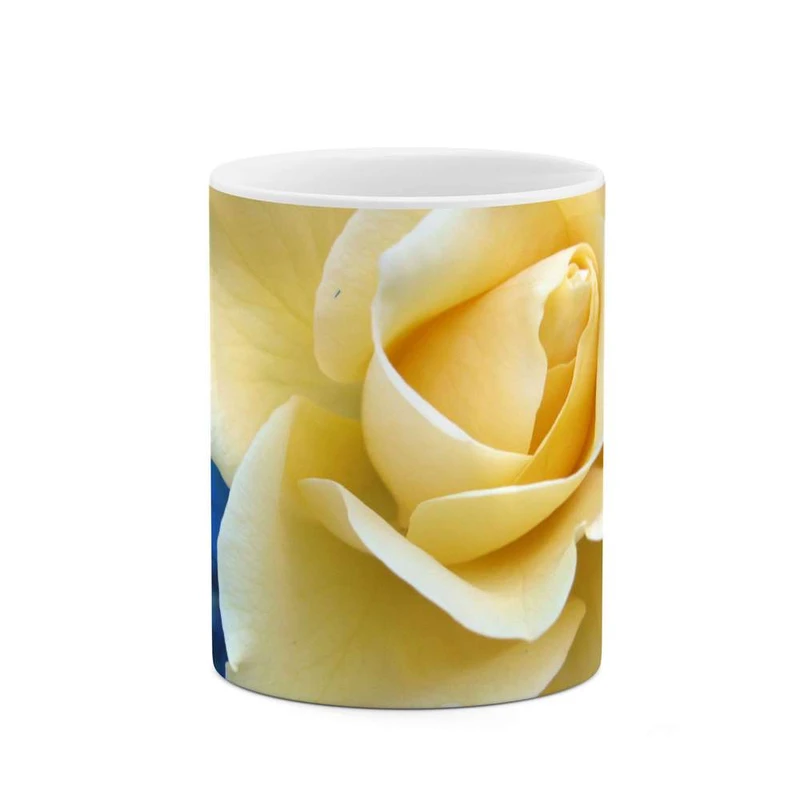 ماگ کاکتی مدل گل رز کد mgh12090