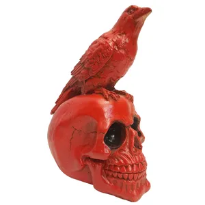 مجسمه مدل اسکلت 912