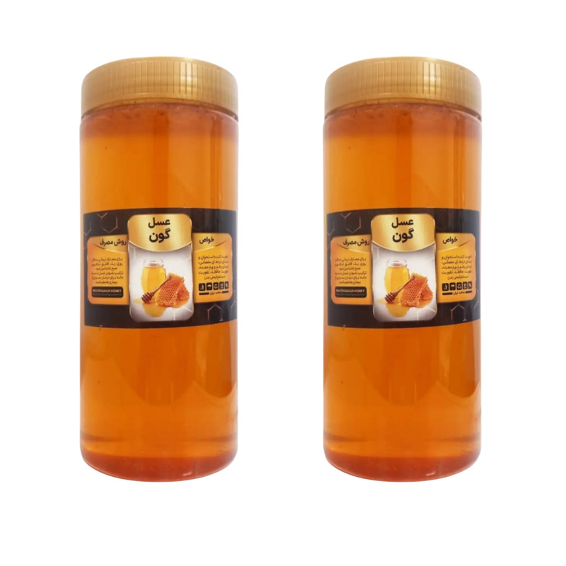عسل گون طبیعی - 1 کیلوگرم بسته 2 عددی
