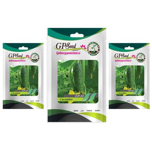 بذر خیار خاردار گلبرگ پامچال کد GPF-175 مجموعه 3 عددی 