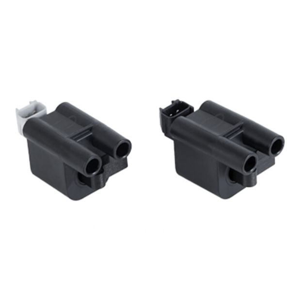 کوئل کروز پلاس مدل زیمنس مناسب برای 405 بسته دو عددی