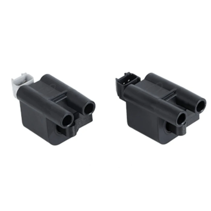 کوئل کروز پلاس مدل زیمنس مناسب برای 405 بسته دو عددی