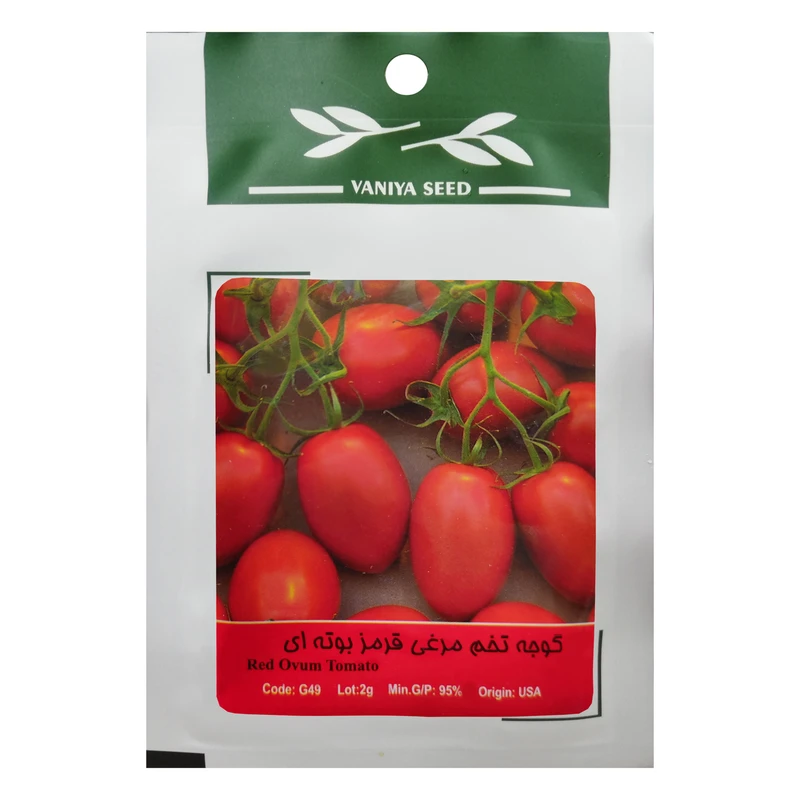 بذر گوجه تخم مرغی قرمز بوته ای وانیا سید مدل G49