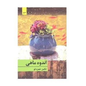 کتاب اندوه ماهی اثر تکین حمزه لو انتشارات برکه خورشید