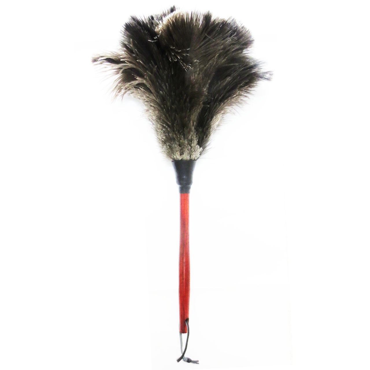 گردگیر آلین مدل Ostrich Feather 5