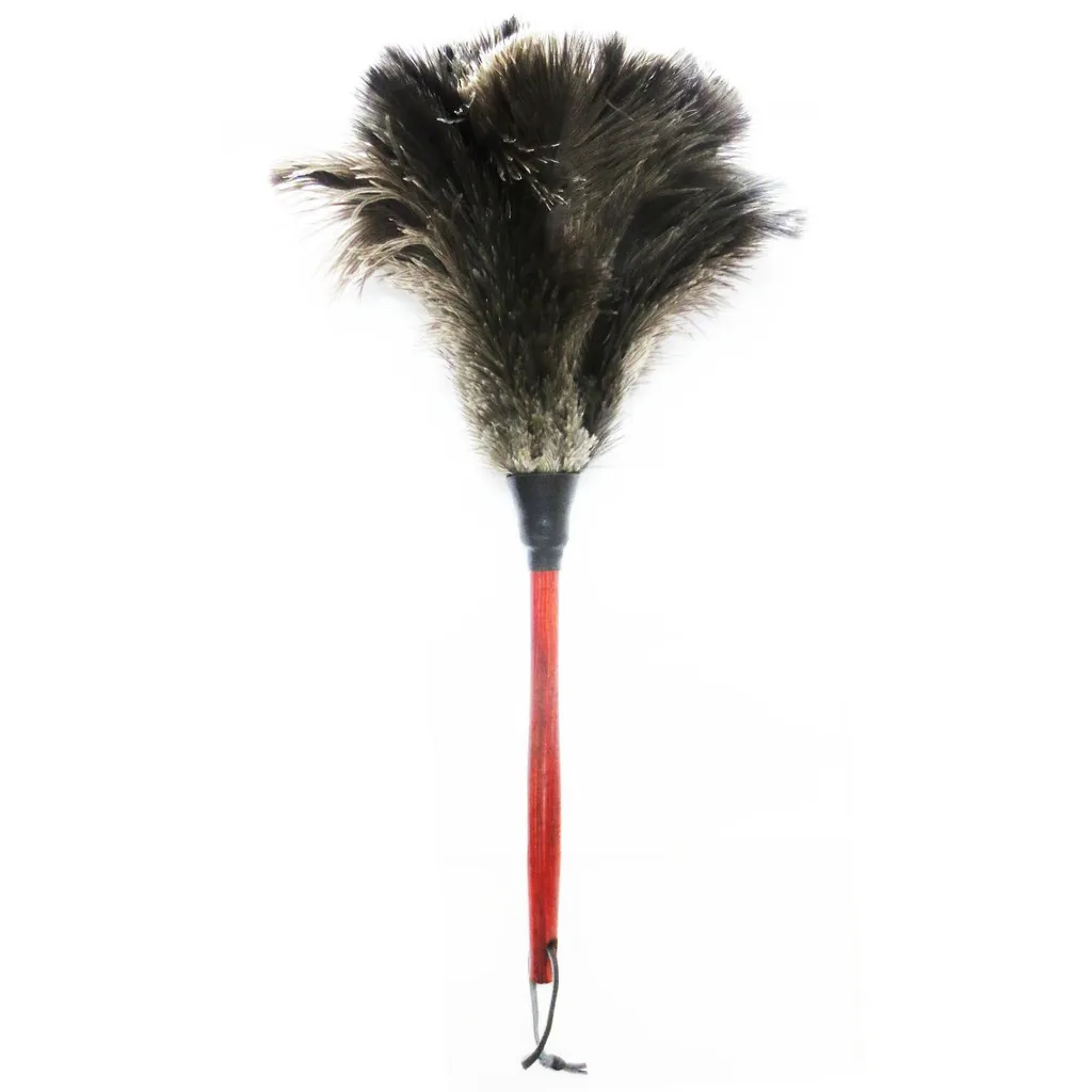 گردگیر آلین مدل Ostrich Feather 5