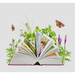 تابلو شاسی آکو مدل A41 سایز 20x28 سانتی متر