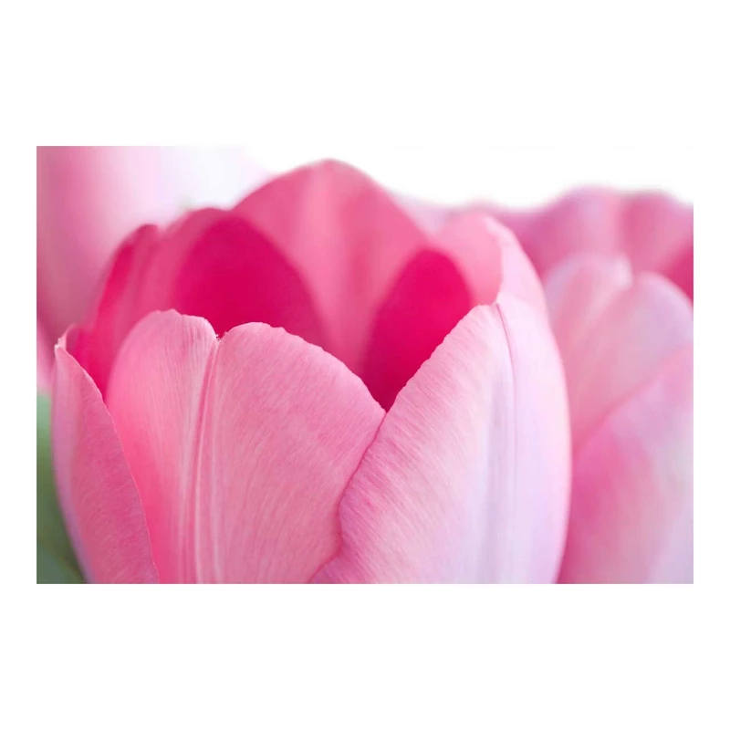 تابلو شاسی لابراتوار سهند طرح 203044 سایز 20x30 سانتی متر