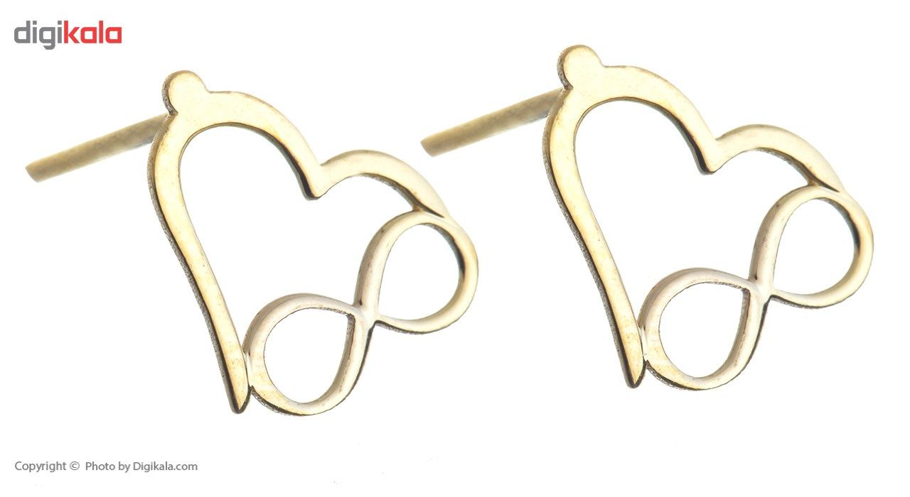 گوشواره طلا 18 عیار رزا مدل EG143 - - 4