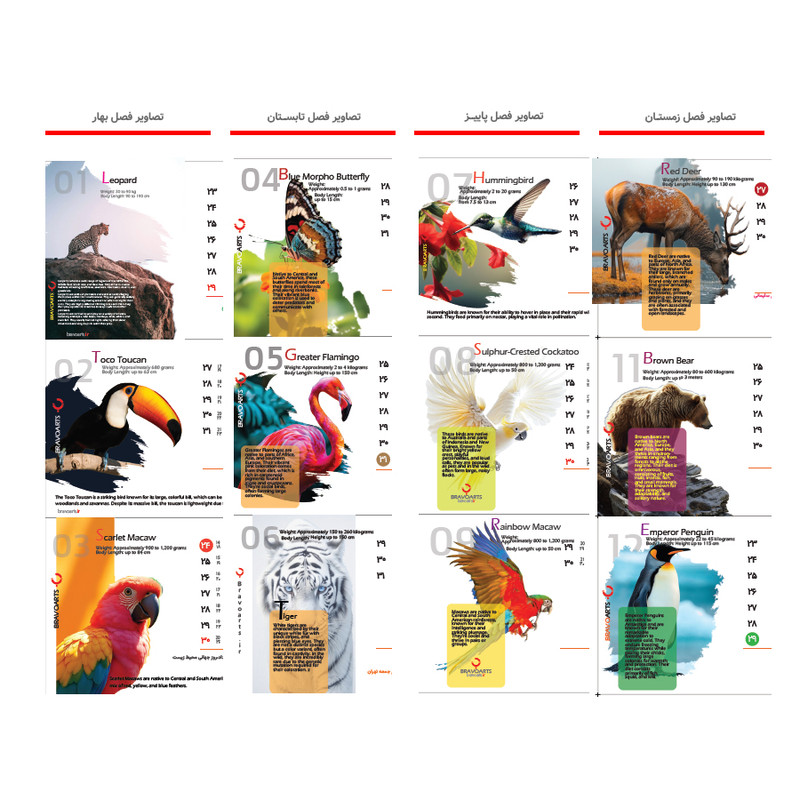 تقویم رومیزی سال 1404 مدل animals