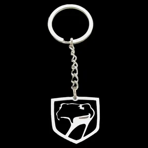 جاسوئیچی خوردرو مدل DG COBRA