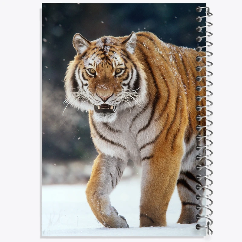 دفتر نت موسیقی 50 برگ خندالو مدل ببر کد F582