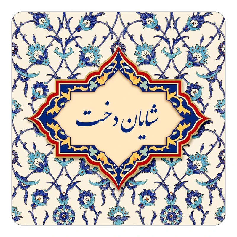 مگنت کاکتی طرح اسم شایان دخت مدل اسلیمی کد mn85657