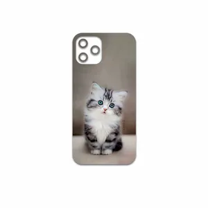 MAHOOT Cat-2 Cover Sticker for Apple iPhone 12 Pro