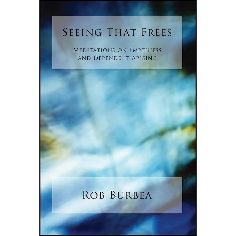 کتاب Seeing That Frees اثر Robert Burbea انتشارات Troubador Publishing Ltd