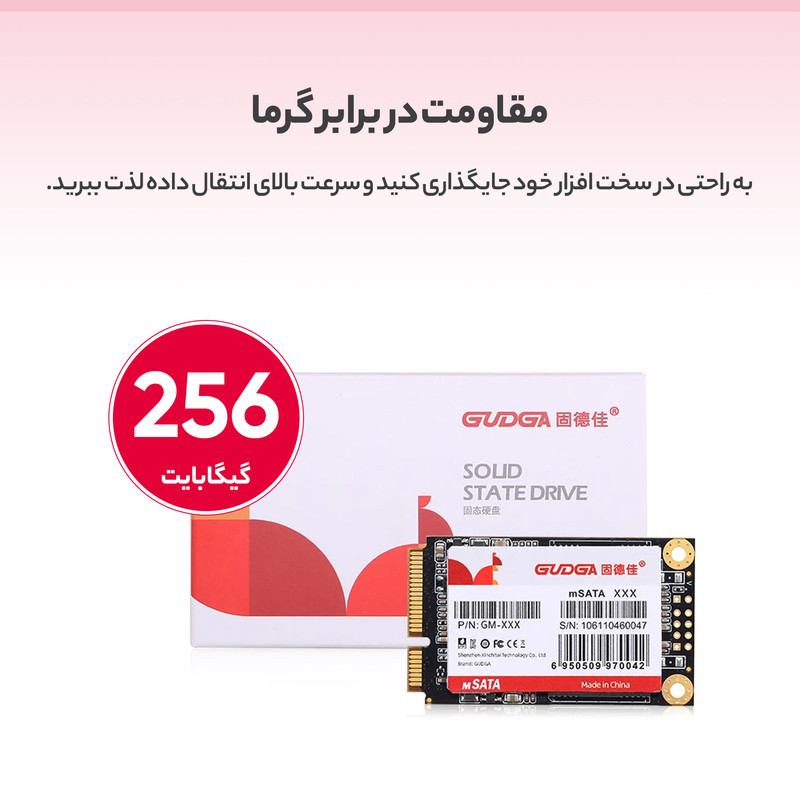 اس اس دی اینترنال گودگا مدل M.SATA ظرفیت 256 گیگابایت