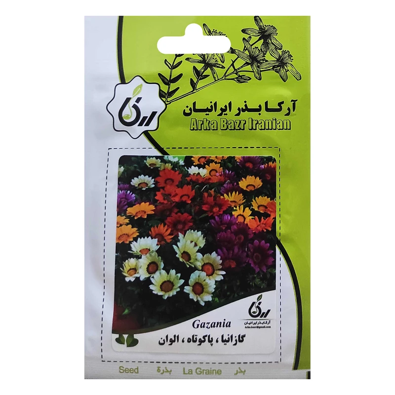 بذر گل گازانیا پاکوتاه الوان آرکا بذر ایرانیان کد A78