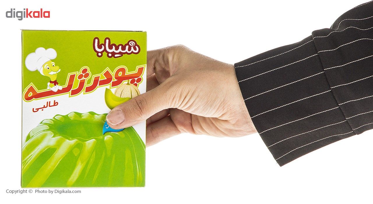 پودر ژله طالبی شیبابا مقدار 100 گرم main 1 5