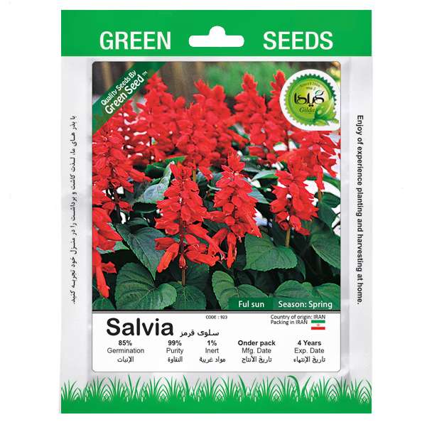 بذر سلوی قرمز گیلدا کد 923 بذر سلوی قرمز گیلدا کد 923