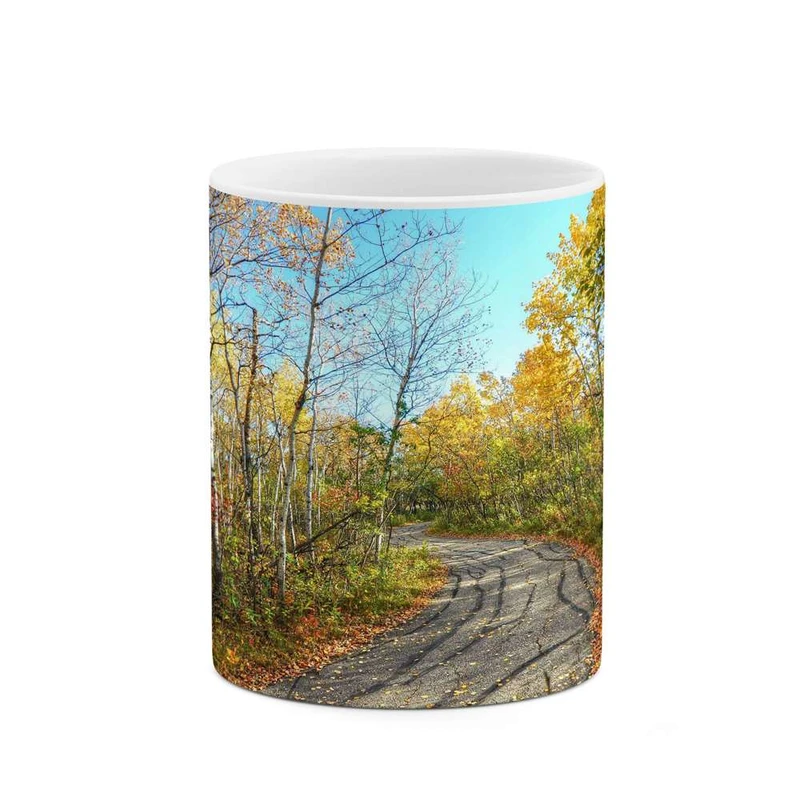 ماگ کاکتی مدل منظره کد mgh13149