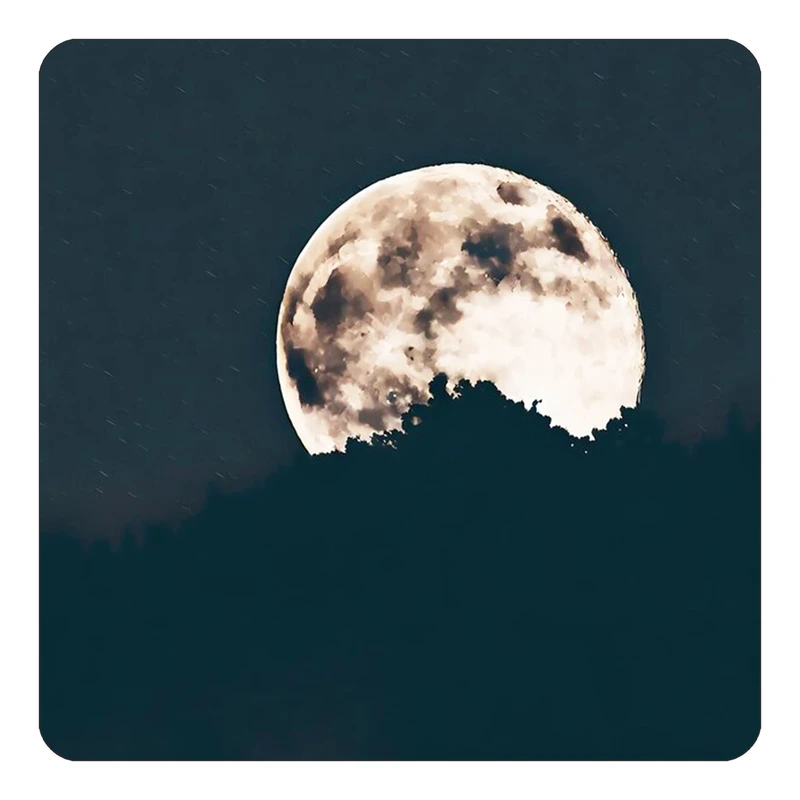 مگنت کاکتی طرح ماه و ستاره مدل mp51896